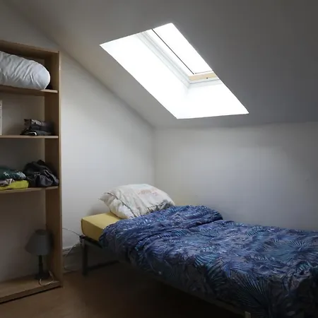 Duplex 2 *